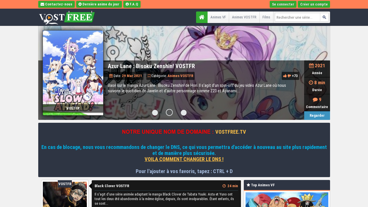 Screenshot of the site Vostfree